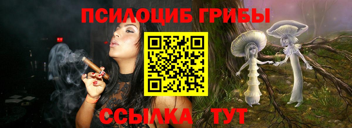 Галлюциногенные грибы Magic Shrooms Добрянка