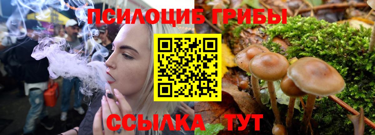 Добрянка  Галлюциногенные грибы MAGIC MUSHROOMS  наркошоп  Вход с VPN 